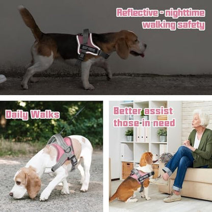 AUROTH Dog Harness for Large Dogs No Pull Tactical Harness and Leash Set - Image 4