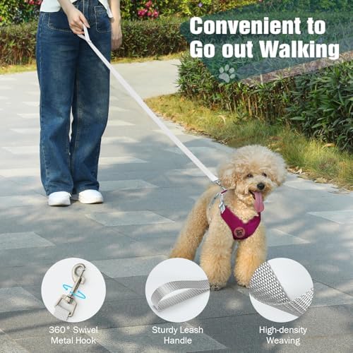 Pawaboo Small Dog Harness and Leash Set, Puppy Harness X-Frame Adjustable - Image 6