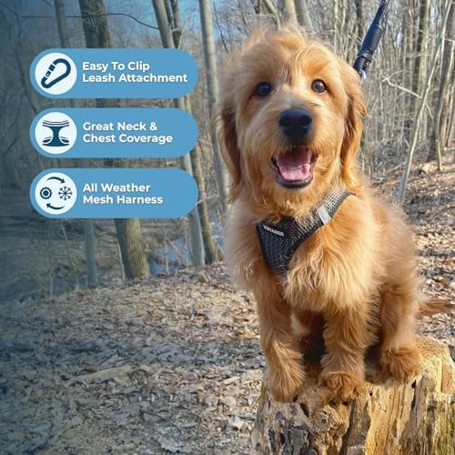 Voyager Step-in Air Dog Vest Harness - Image 3