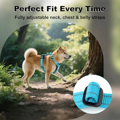 Plutus Pet No Pull Dog Harness - Image 5