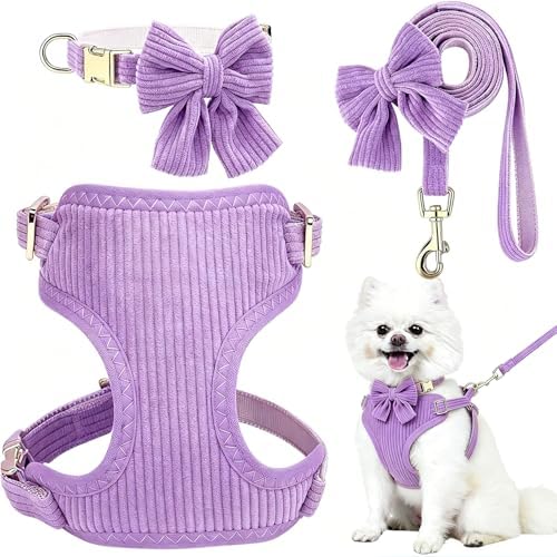 Small Dog Collar Harness and Leash Set by Unknown