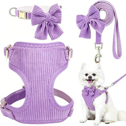 Small Dog Collar Harness and Leash Set by Unknown