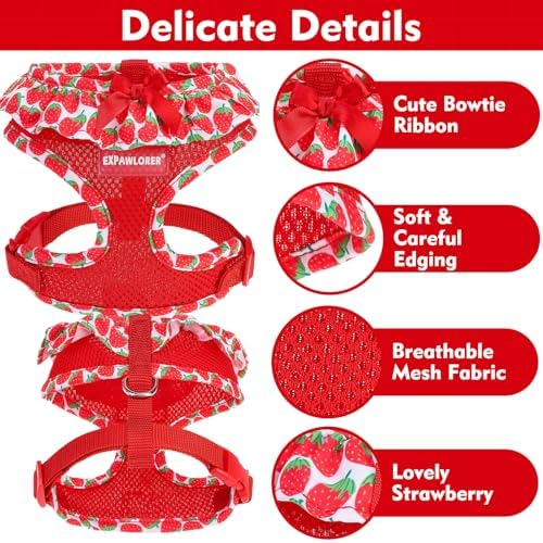 EXPAWLORER Step-in Dog Harness Small Sized and Leash Set - Image 4