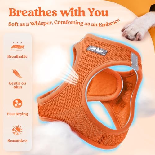 rabbitgoo Dog Harness Medium Sized and Leash Set, Step-in Puppy Pet Vest - Image 4