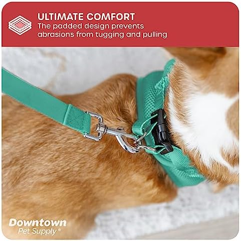 Downtown Pet Supply Step-in Dog Harness – No Pull, Adjustable Padded Mesh - Image 6