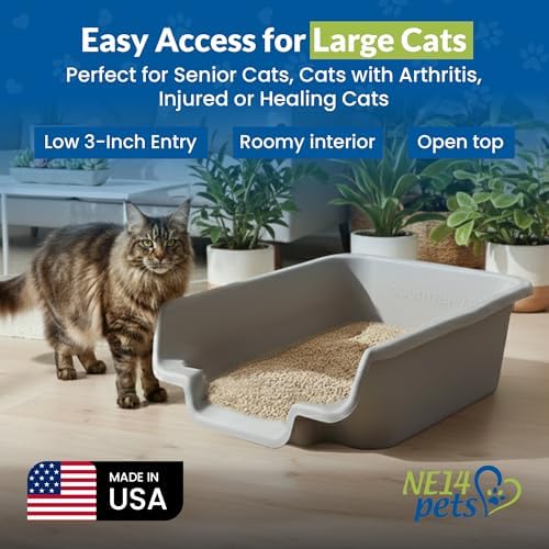 KittyGoHere Senior Cat Litter Box, Low Entry Litter Pan, Jumbo 2 Pack - Image 3