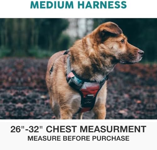 Embark No Pull Dog Harness, Reflective Adjustable Training Vest, No Choke - Image 2