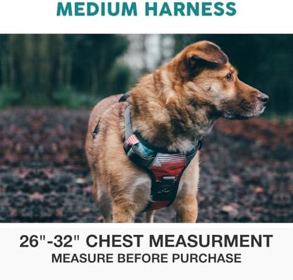 Embark No Pull Dog Harness, Reflective Adjustable Training Vest, No Choke - Image 2