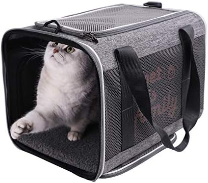 You've got This Cat Carrier by petisfam