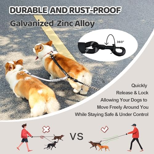 Double Dog Leash - Image 4