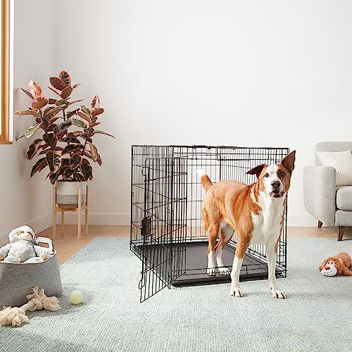Amazon Basics Durable, Foldable Metal Wire Dog Crate - Image 5