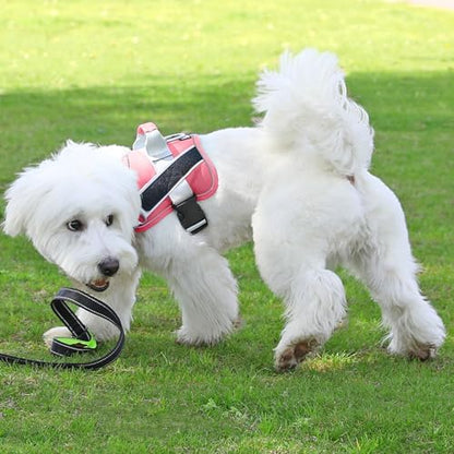 Bolux Dog Harness, No-Pull Reflective Breathable Adjustable Pet Vest - Image 5