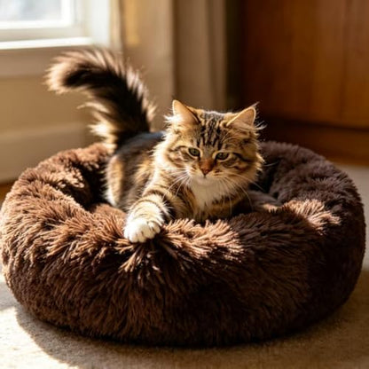 Cat Beds for Indoor Cats - Image 2