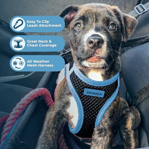 Voyager Step-in Air Dog Vest Harness - Image 3