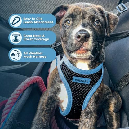 Voyager Step-in Air Dog Vest Harness - Image 3