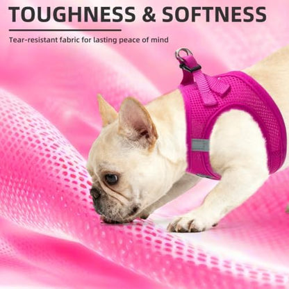 PUPTECK Dog Harness, Collar and Leash Set No Pull - Image 6