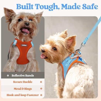rabbitgoo Dog Harness Small Sized and Leash Set, Step-in Puppy Pet Vest - Image 5