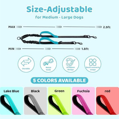 Double Dog Leash - Image 2