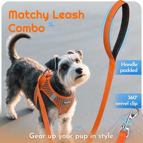 Eagloo Small Dog Harness and Leash Set, Step in Extra Small Puppy Pet Vest - Image 5