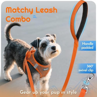 Eagloo Small Dog Harness and Leash Set, Step in Extra Small Puppy Pet Vest - Image 5