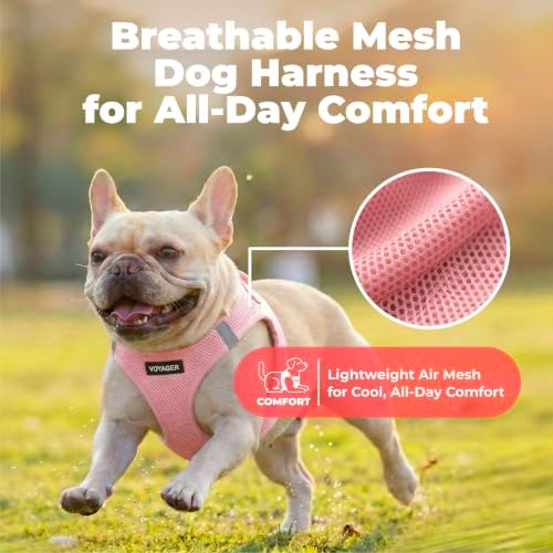 Voyager Step-in Air Dog Vest Harness - Image 5