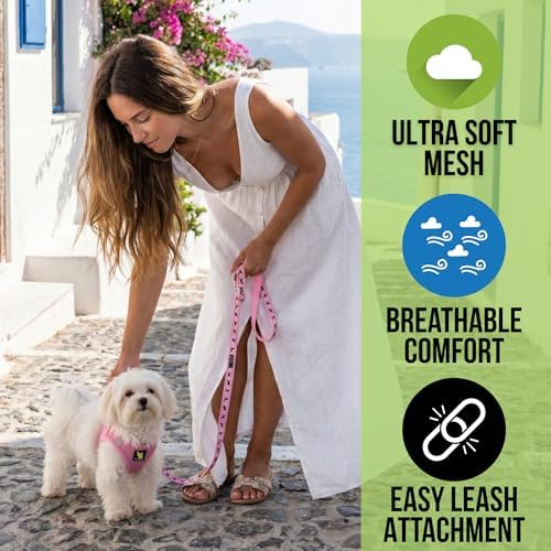 EcoBark Small Dog Harness, Luxury Soft Step in Mesh Vest, Baby Pink - Image 2