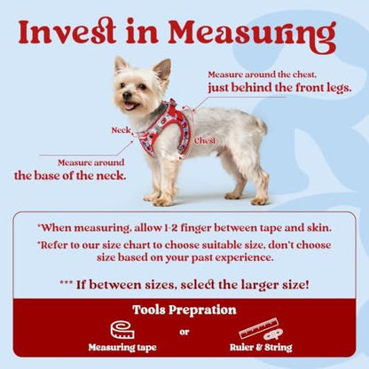 rabbitgoo Step-in Small Dog Harness, Puppy Vest - Image 2