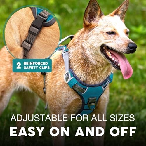 Embark No Pull Dog Harness, Reflective Adjustable Training Vest, No Choke - Image 5