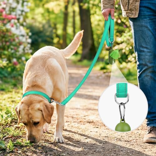 Joytale Reflective Dog Leash for Medium & Large Dogs, 6 FT x 1" - Image 2