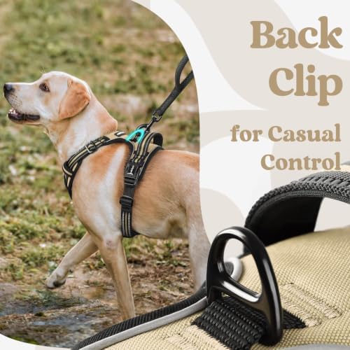 rabbitgoo Dog Harness for Large, Updated Easy On & Off - Image 6