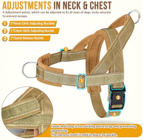 Lukovee No Pull Dog Harness and Leash Set, Soft Padded - Image 3