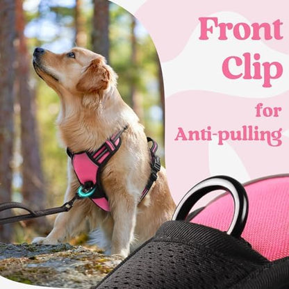 rabbitgoo Dog Harness for Large, Updated Easy On & Off - Image 6