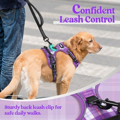 rabbitgoo Dog Harness, No Pull Medium Sized - Image 6
