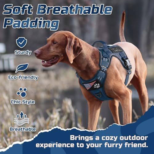 rabbitgoo Tactical Dog Harness for Medium, No Pull Military Service Vest - Image 3