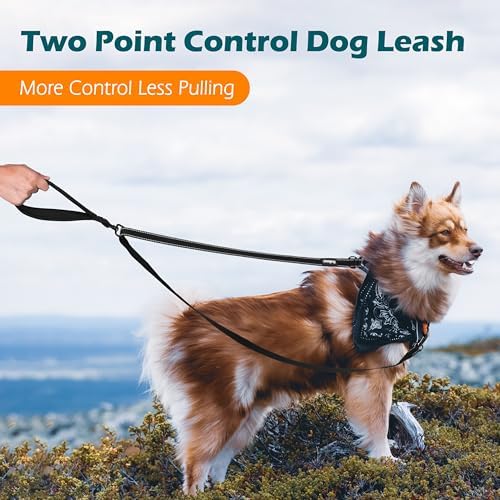 PetBonus Two Point Control Dog Leash, No Tangle Training Walking Leashes - Image 2