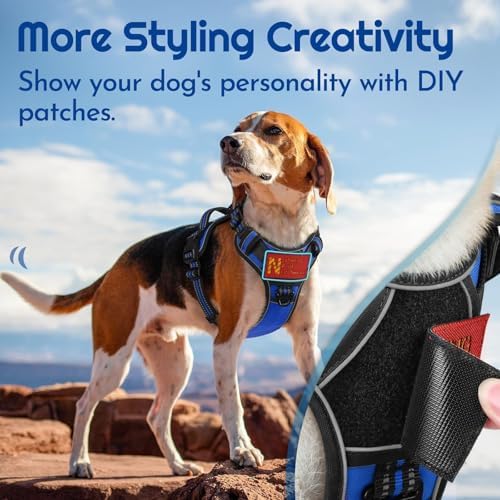 Eagloo Dog Harness No Pull for Medium Dogs, Easy On & Off - Image 3