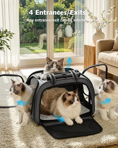 Pecute Cat Carrier, Double Bubble Pet Carrier - Image 2