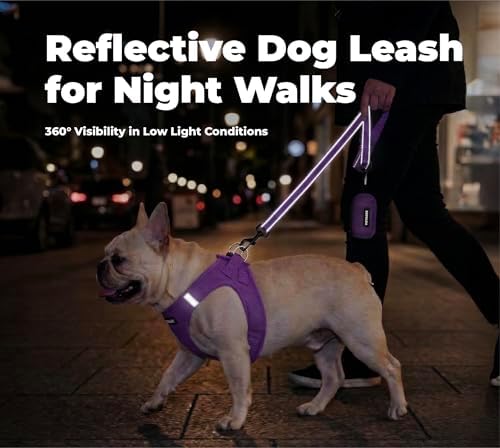 Best Pet Supplies Voyager Nylon Dog Leash - Image 4