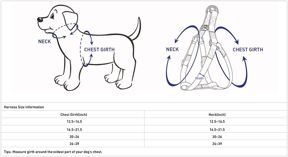 Blueberry Pet Essentials Step-in Dog Harness, Large Size | Adjustable Dark - Image 5