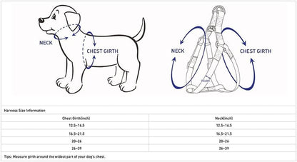 Blueberry Pet Essentials Step-in Reflective Back to Basics Dog Harness - Image 5