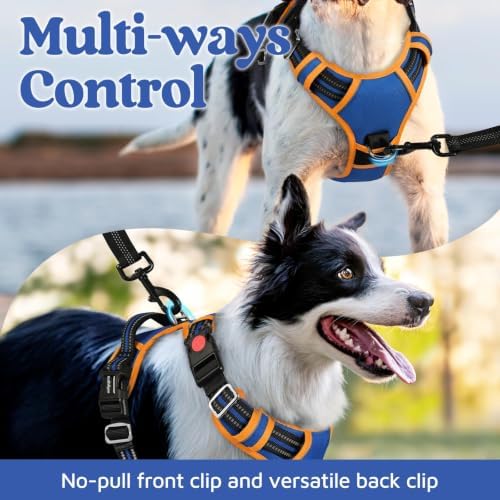 rabbitgoo Dog Harness for Large, No Pull 3 Buckles Easy On & Off - Image 3