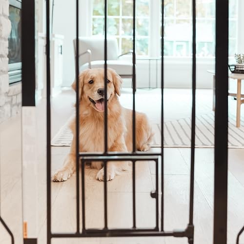 Carlson 36" Extra Tall Walk Through Dog Gate - Image 5