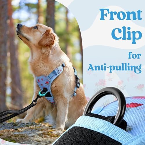 rabbitgoo Dog Harness Small Sized, Updated Easy On & Off - Image 7