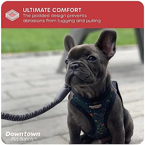 Downtown Pet Supply Step-in Dog Harness – No Pull, Adjustable Padded Mesh - Image 6