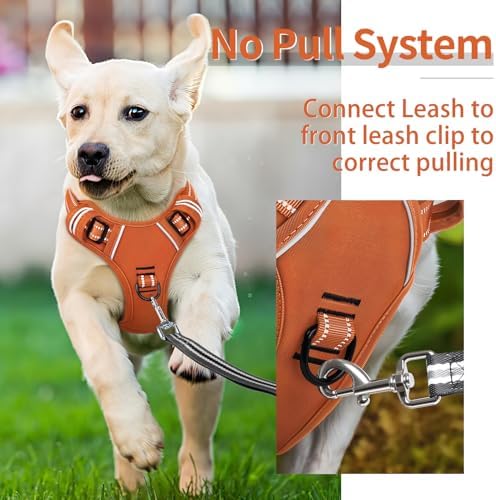 HEELE Dog Harness for Medium Dogs No Pull Dog Vest Harness - Image 4
