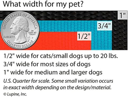 Small Adjustable Step in Dog Harness by Lupine 1/2" Wide Aqua - Image 4