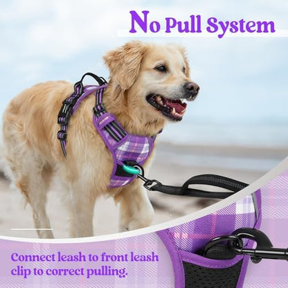 rabbitgoo Dog Harness, No Pull Medium Sized - Image 5
