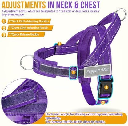 SlowTon No Pull Dog Harness and Leash Set - Image 5