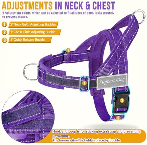 SlowTon No Pull Dog Harness and Leash Set - Image 5