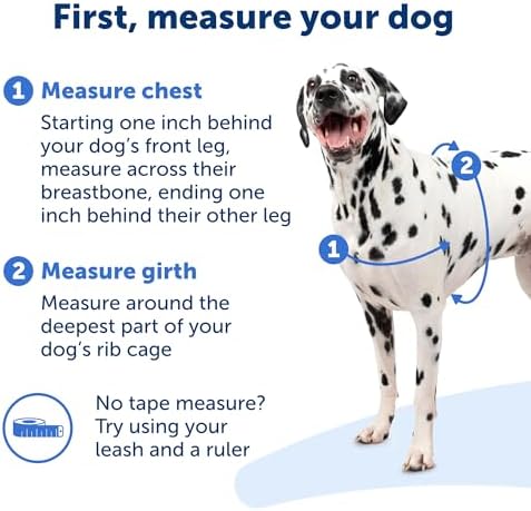 PetSafe Easy Walk Harness, No Pull Dog Harness, Charcoal Gray, Medium/Large - Image 4